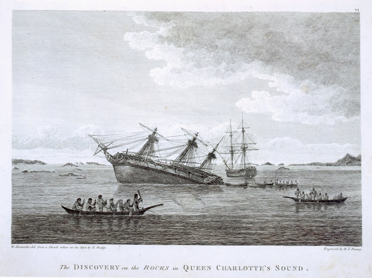 Die Entdeckung auf den Felsen im Queen Charlotte