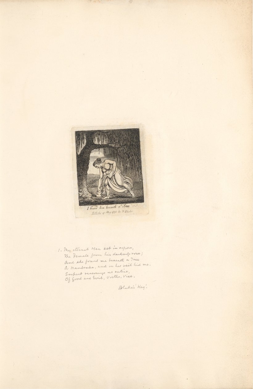 Für die Geschlechter. Die Tore des Paradieses, Tafel 3, Ich fand ihn unter einem Baum von William Blake