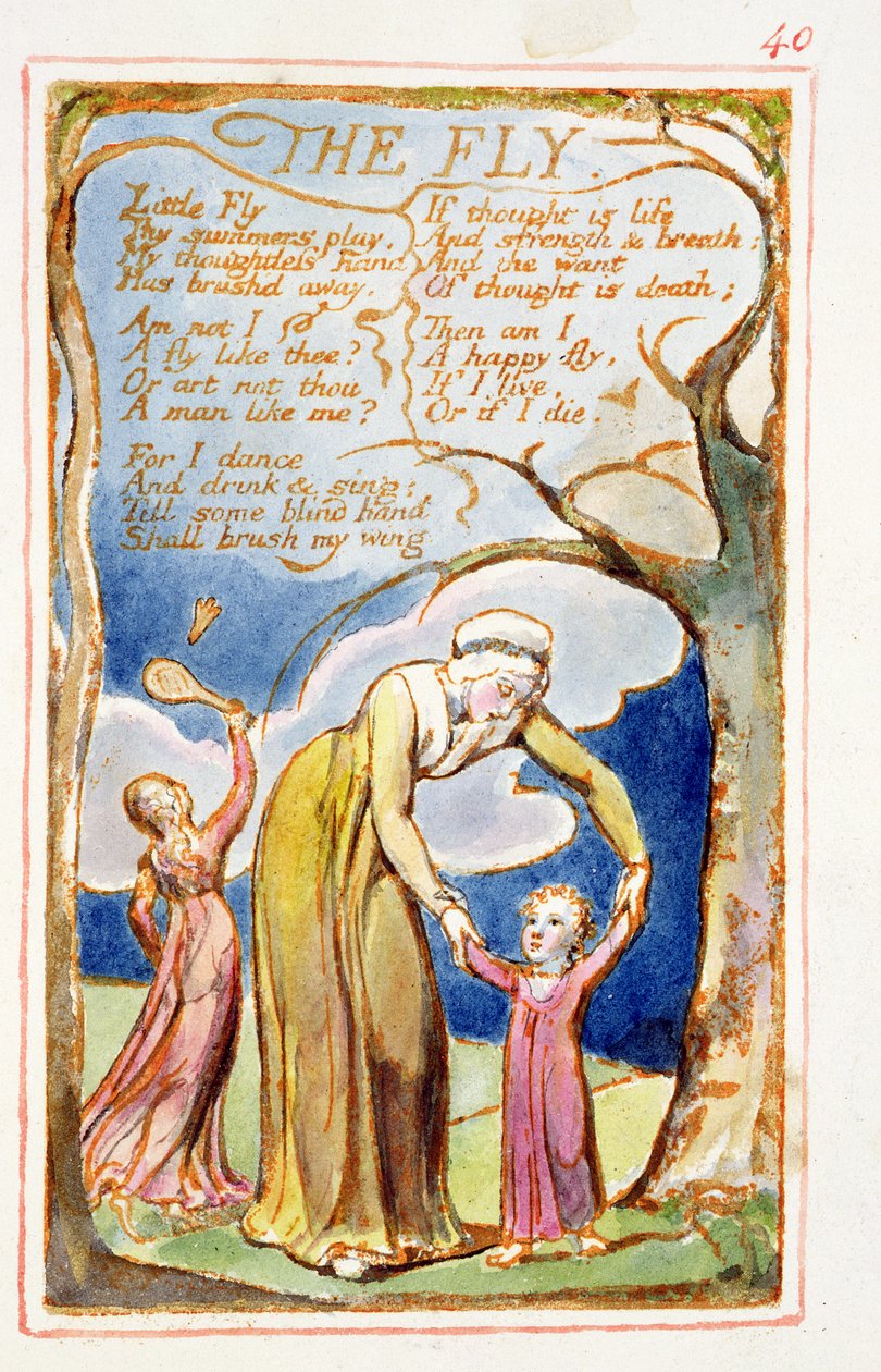 Die Fliege: Platte 40 aus Songs of Innocence and of Experience (Kopie AA) ca. 1815-26 von William Blake
