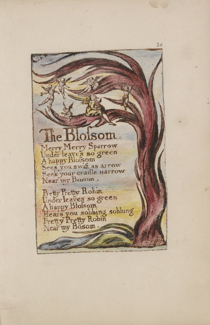 The Blossom, Platte 28 aus Songs of Innocence von William Blake