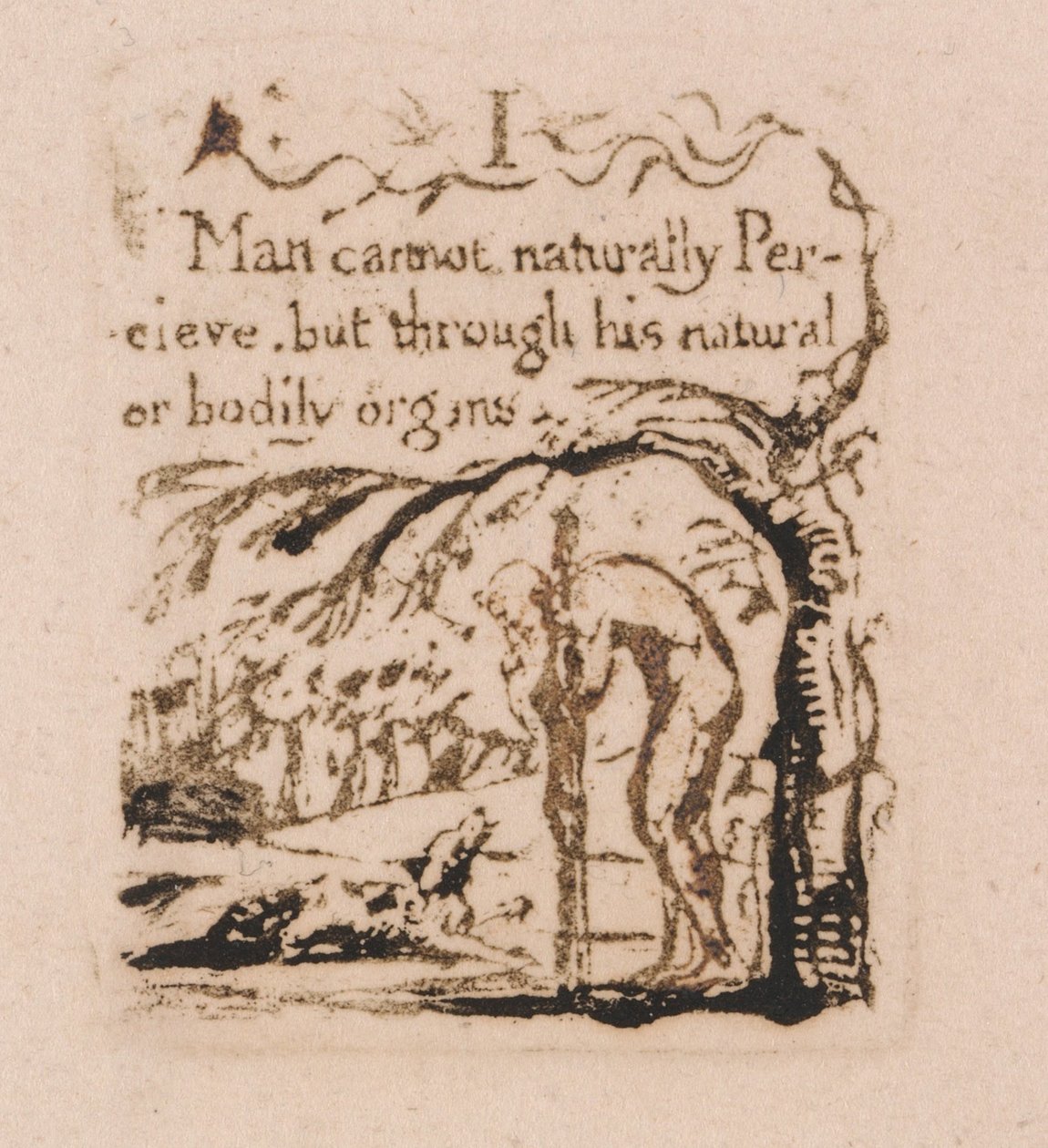 Es gibt keine natürliche Religion, Tafel 3, Der Mensch kann nicht natürlich... (Bentley a4) von William Blake