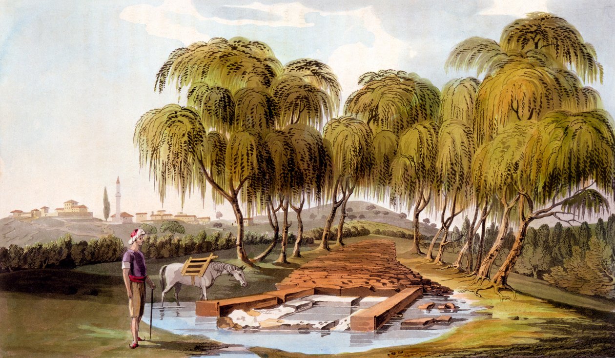 Frühling an der Quelle des Skamander-Flusses, 1804 von William Gell