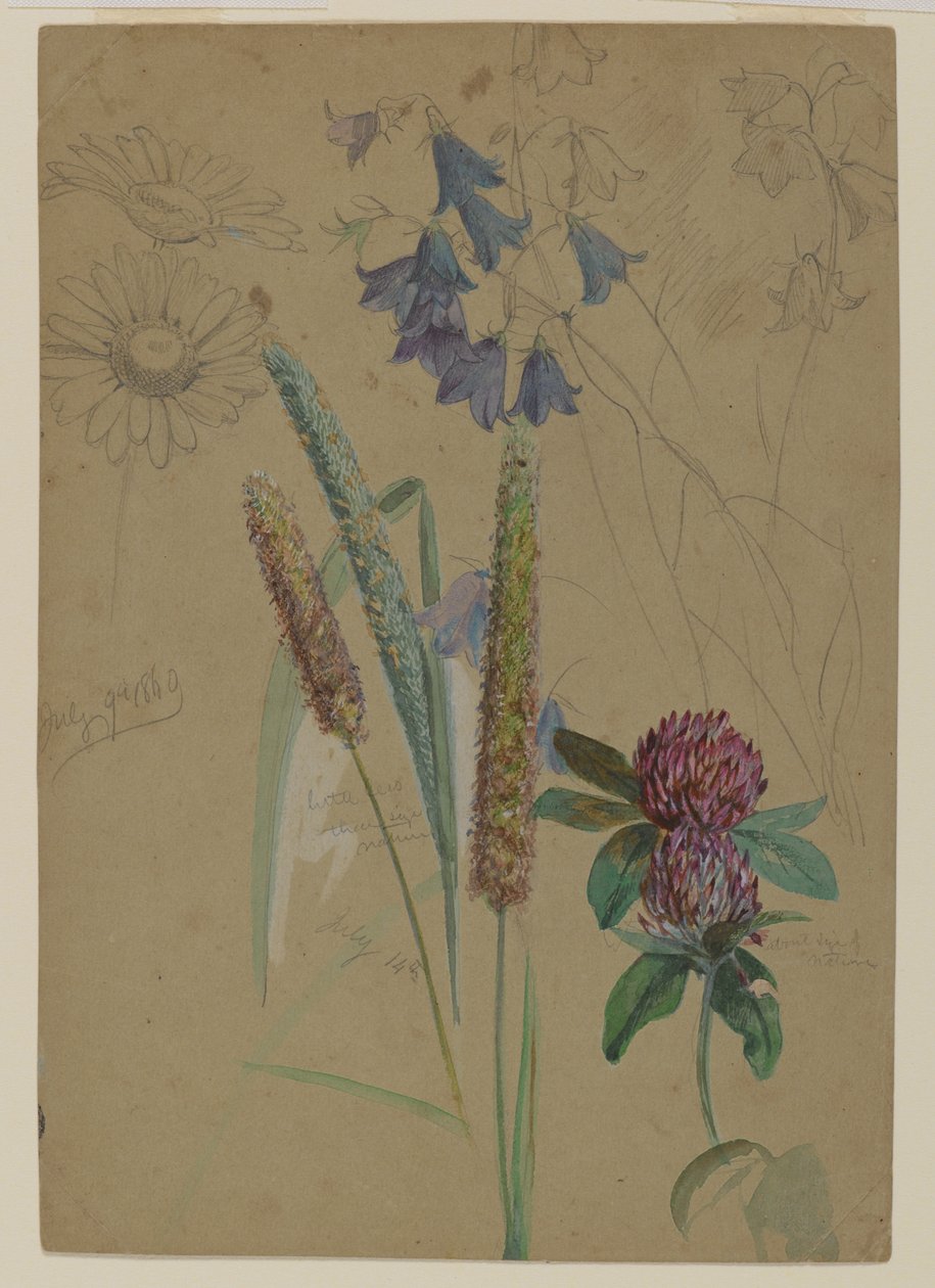 Blumenstudie, 1860 von William Trost Richards