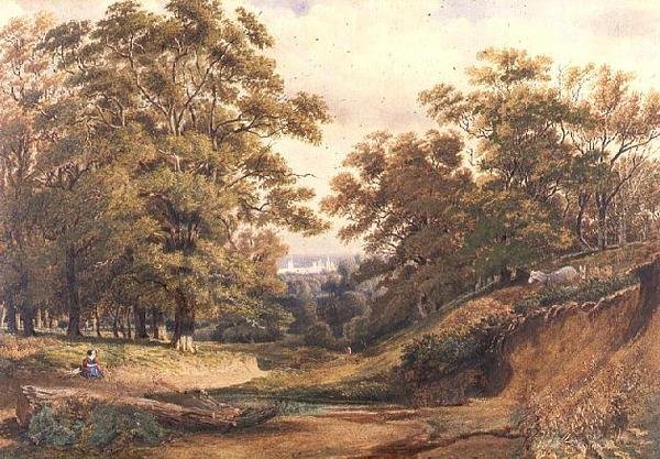 Szene im Bagley Wood bei Oxford von Joseph Mallord William Turner