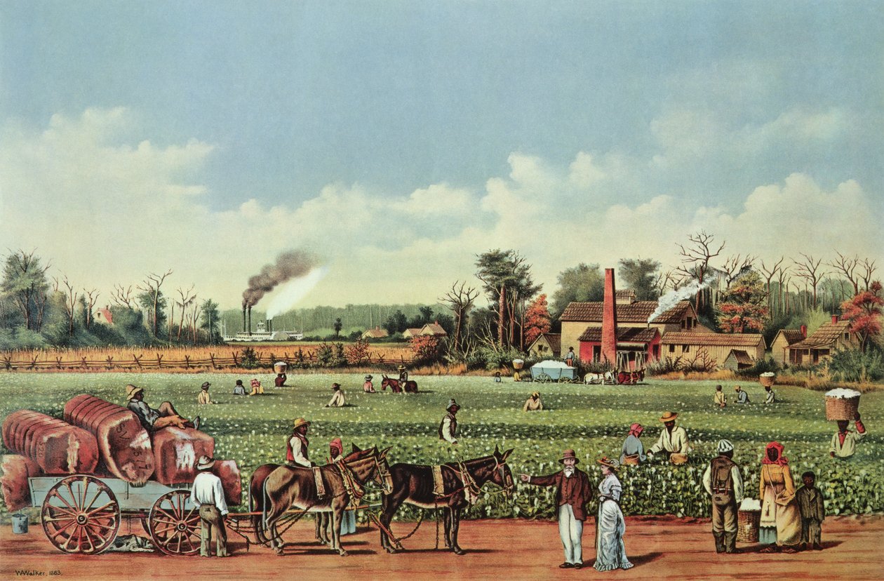 Eine Baumwollplantage am Mississippi - die Ernte von William Aiken (after) Walker