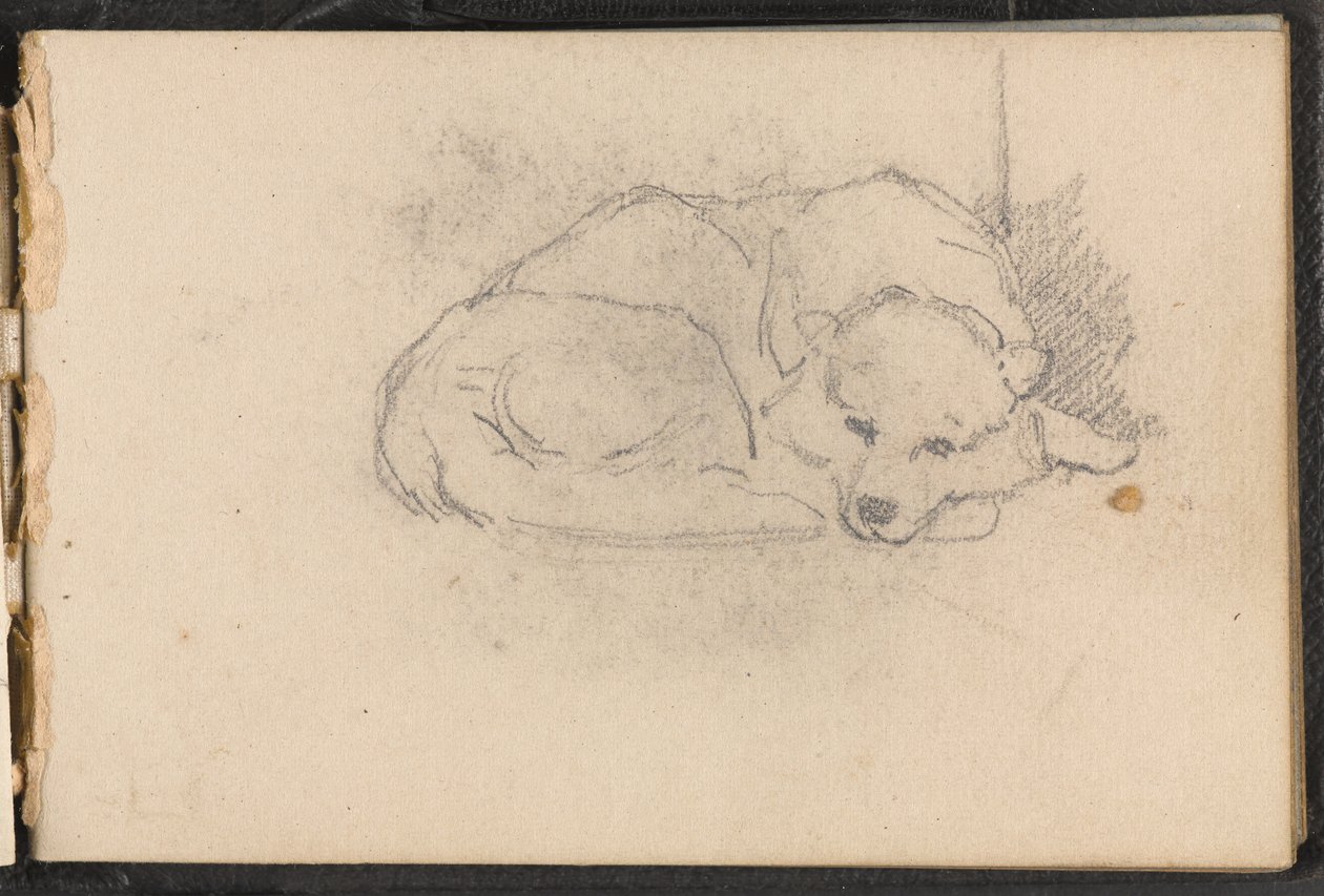 Skizze eines schlafenden Hundes, ca. 1879 von William Barnes Wollen