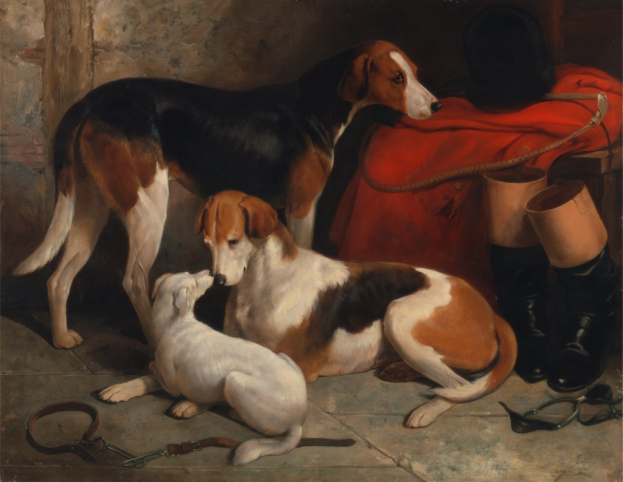 Ein Paar Foxhounds mit einem Terrier, im Besitz von Lord Henry Bentinck von William Barraud