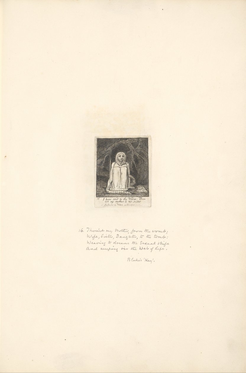 Für die Geschlechter - Die Tore des Paradieses, Platte 18, Ich habe dem Wurm gesagt . . . . von William Blake