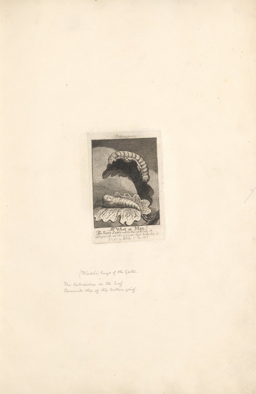 Für die Geschlechter - Die Tore des Paradieses, Platte 1, Titelseite von William Blake