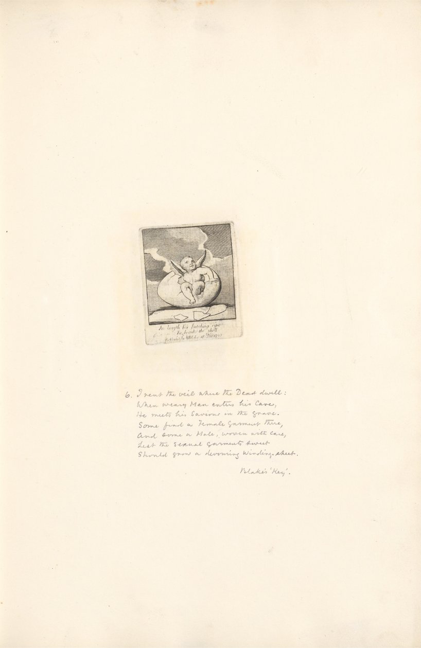 Für die Geschlechter - Die Tore des Paradieses, Platte 8, Endlich bricht er die Schale auf von William Blake