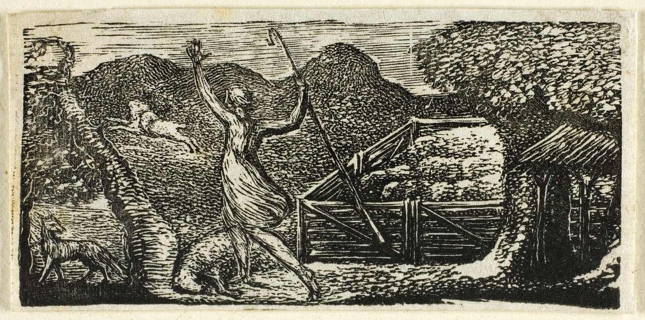 Hirte vertreibt Wolf, aus den Pastoralen von Virgil von William Blake