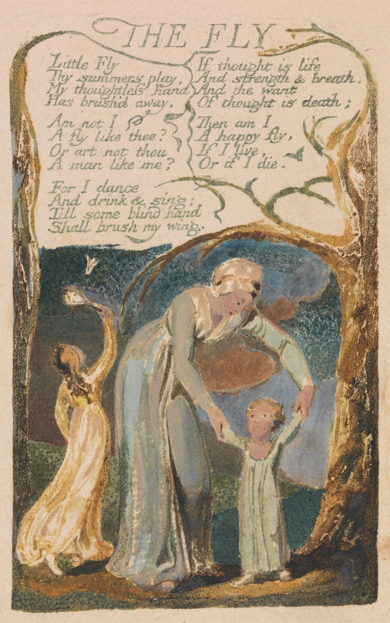 Lieder der Unschuld und der Erfahrung, Platte 48, "Die Fliege" (Bentley 40) von William Blake