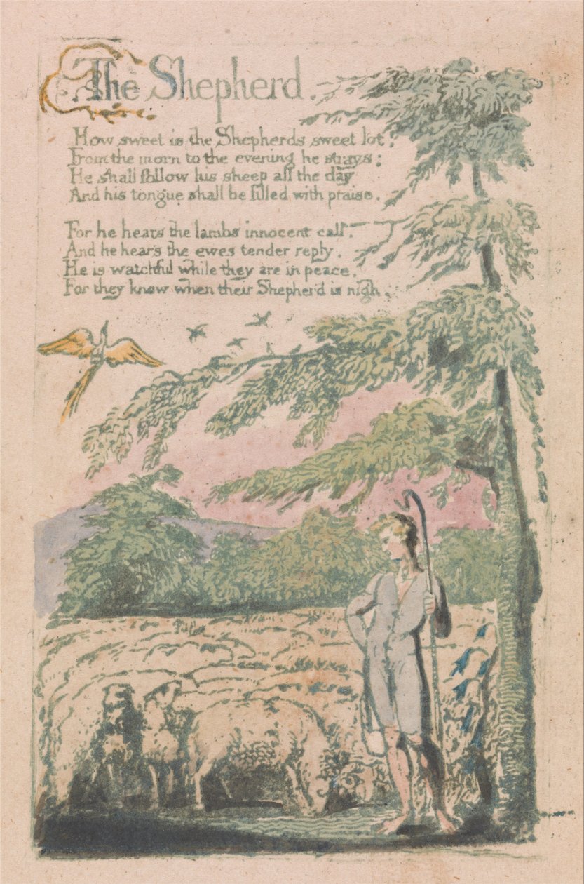 Lieder der Unschuld und Erfahrung, Tafel 4, Der Hirte (Bentley 5) von William Blake