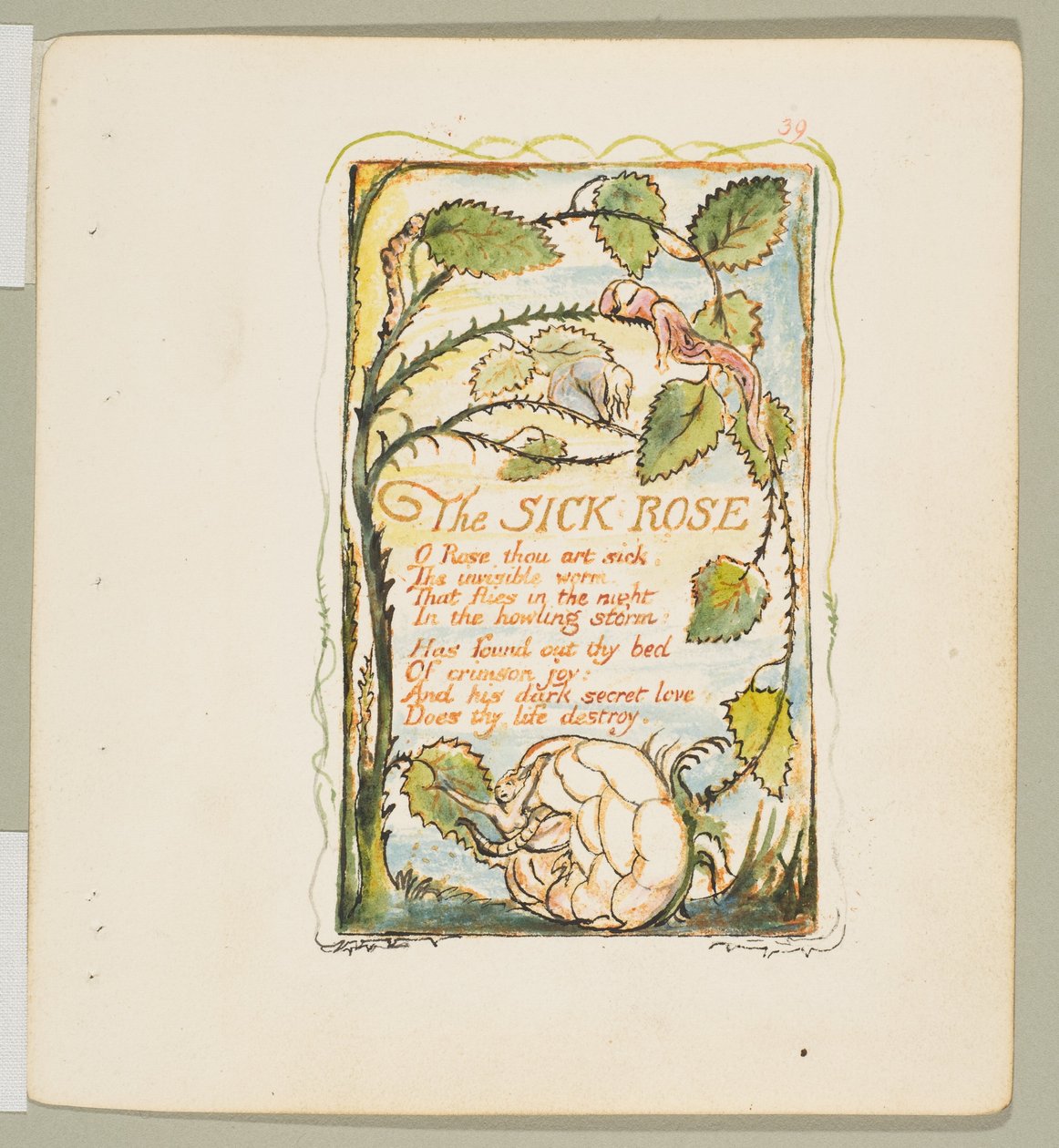 Lieder der Unschuld und Erfahrung: Die kranke Rose, ca. 1825 von William Blake