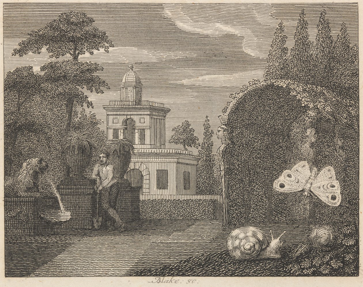 Der Schmetterling und die Schnecke von William Blake