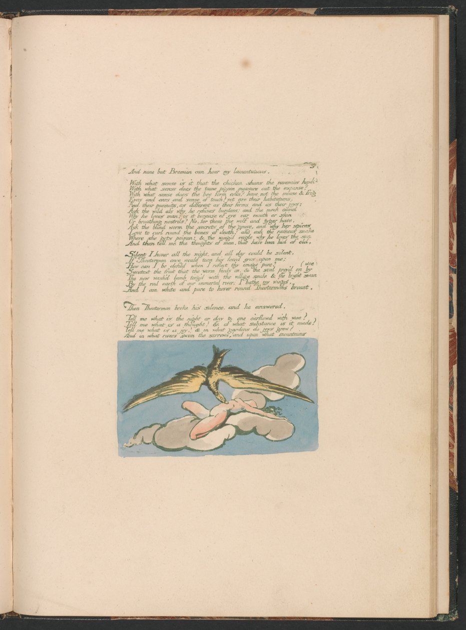 Visionen der Töchter Albions, Tafel 6, Und niemand außer Bromian... von William Blake