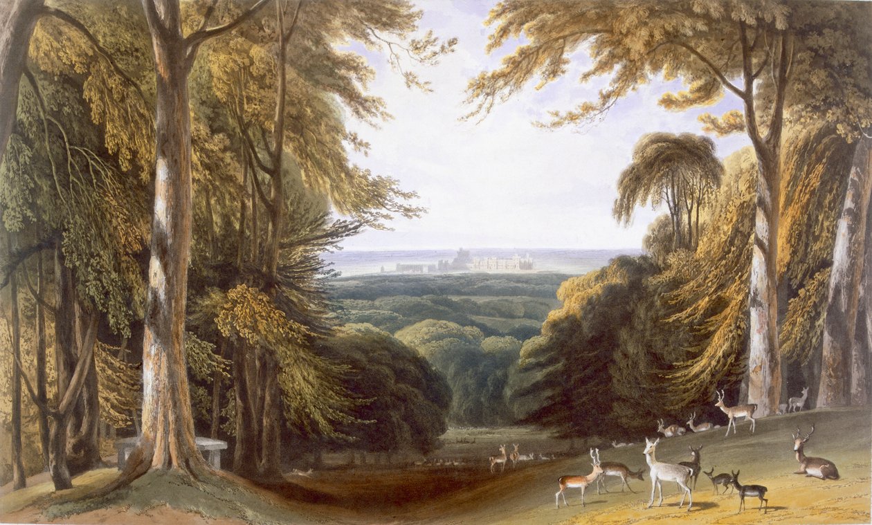 Schlucht im Windsor Park nahe Bishops Gate, ca. 1827-30 von William Daniell