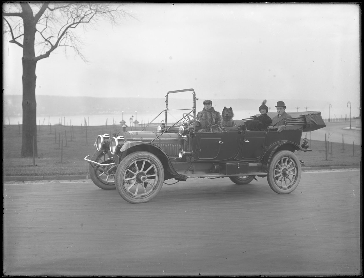 Drei nicht identifizierte Personen und zwei Chow-Hunde fahren in einem Cabriolet entlang eines Flusses oder Sees, ca. 1912 von William Davis Hassler