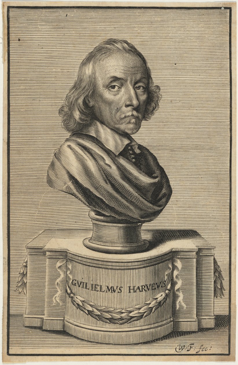 William Harvey, M.D. von William Faithorne