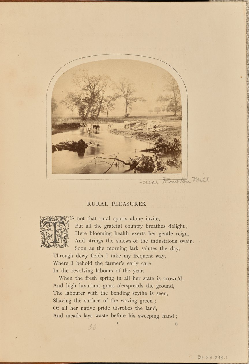 Pastorale Szene mit Vieh auf einem überfluteten Feld, England von William Grundy