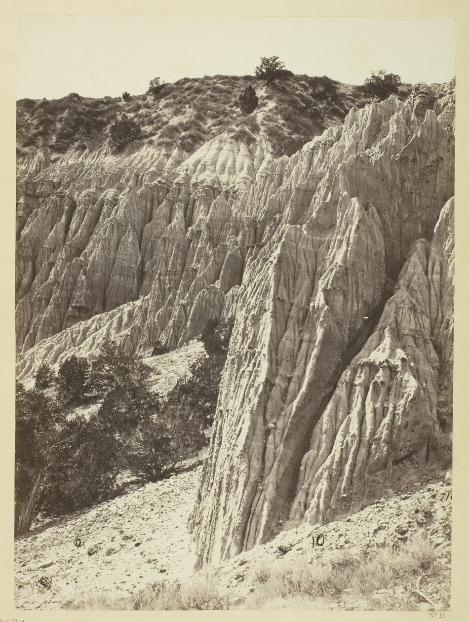 Regenskulptur, Salt Creek Canyon, Utah von William H. Bell