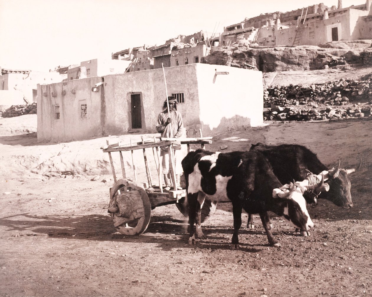Der alte Carreta, Laguna, New Mexico von William H. Jackson