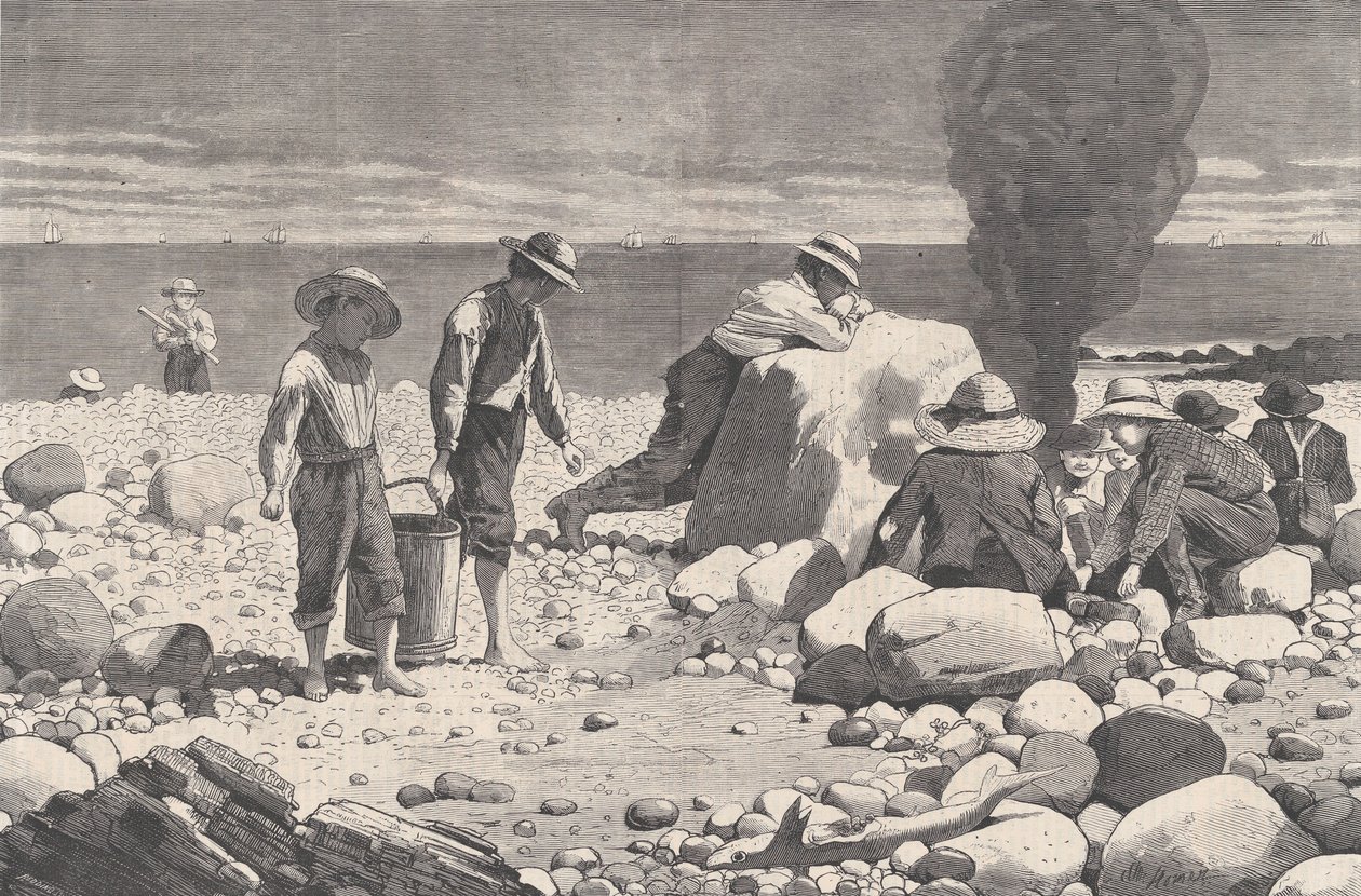 Skizzen am Meer - Ein Clam-Bake Harper