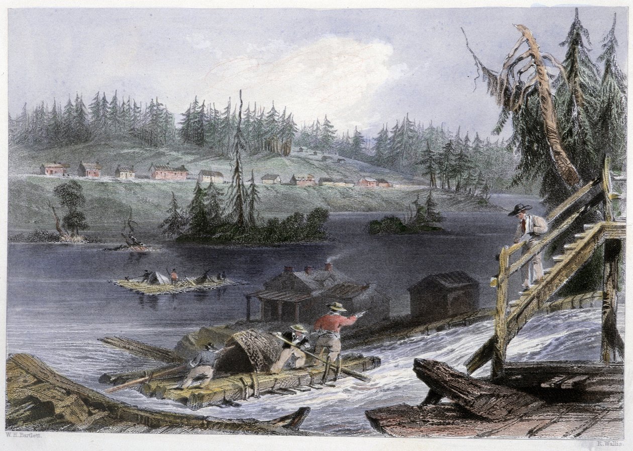 Holztransport zu „les Chats“ - in „Canadian scenery illustrated“ von Bartlett W. H. von William Henry Bartlett