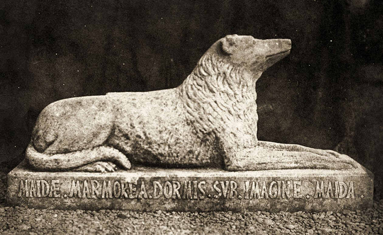 Statue von Maida, berichtet als Lieblingshund von Sir Walter Scott von William Henry Fox Talbot