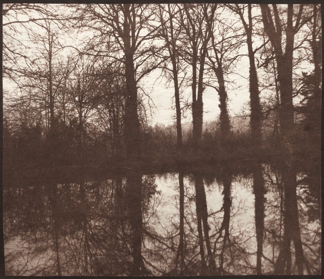 Winterbäume, die sich in einem Teich spiegeln von William Henry Fox Talbot