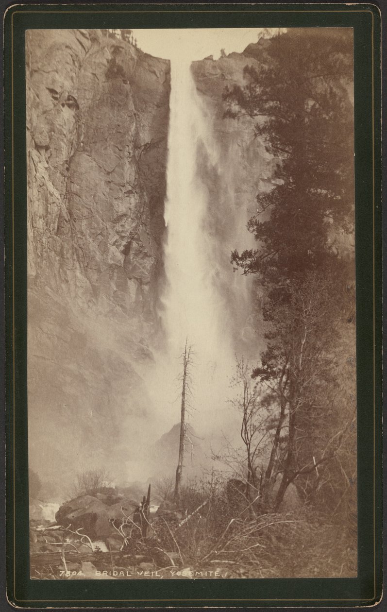 Brautschleier, Yosemite von William Henry Jackson