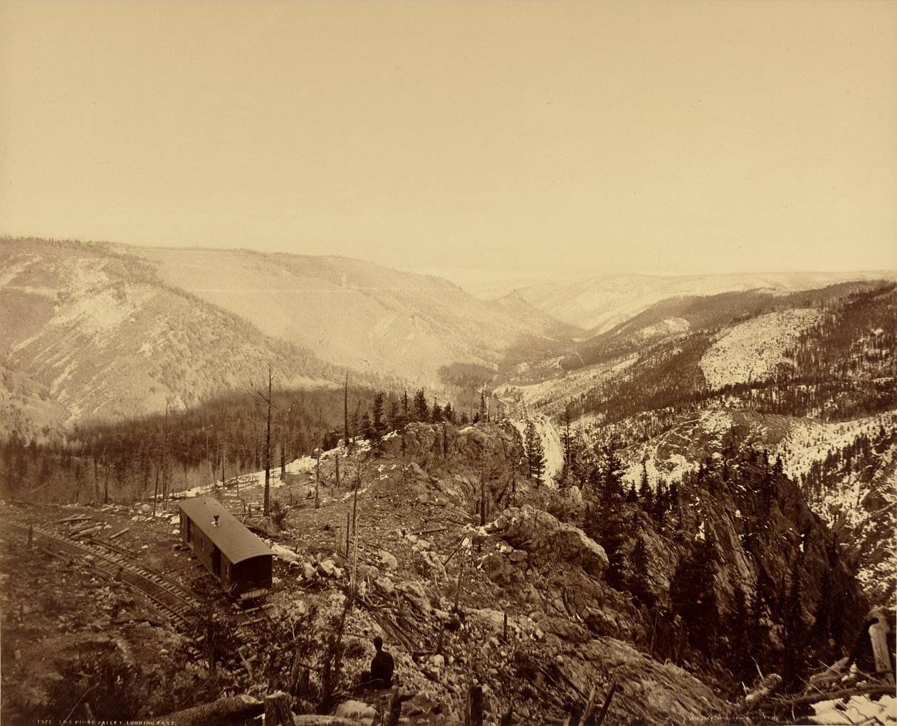 Los Pinos Tal, Blick nach Osten von William Henry Jackson