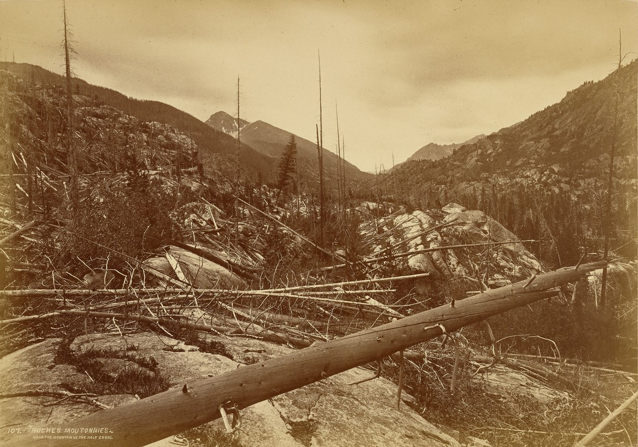 Roches Moutonnées in der Nähe des Berges des Heiligen Kreuzes von William Henry Jackson