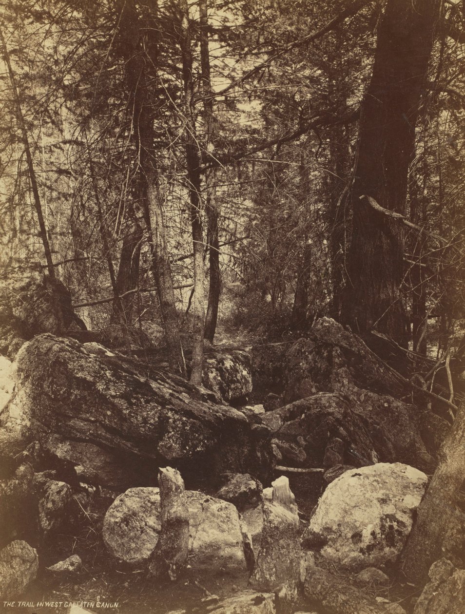 Der Pfad im West Gallatin Canyon, ca. 1870er Jahre von William Henry Jackson