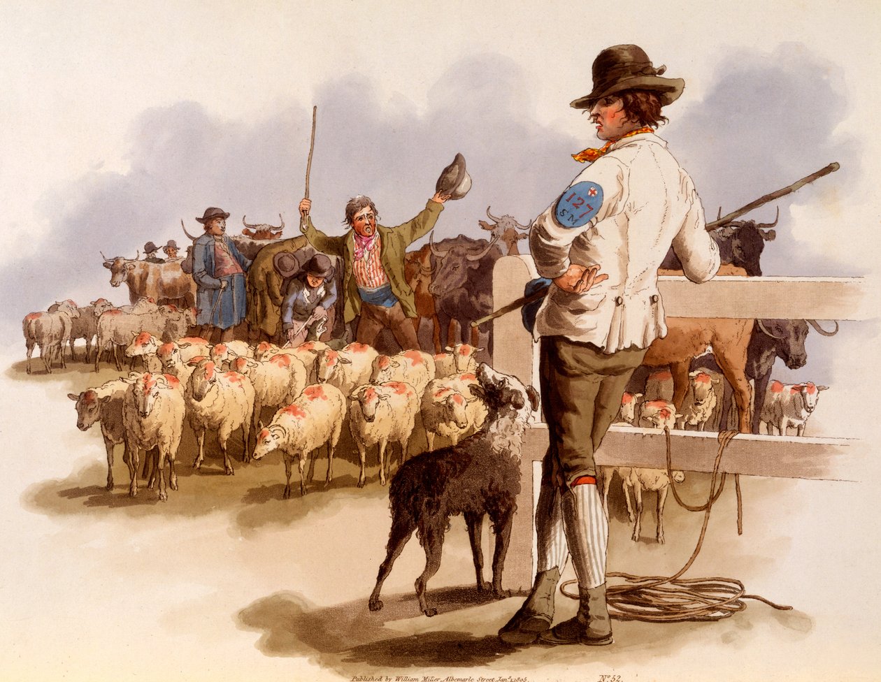 Smithfield Drover, aus 