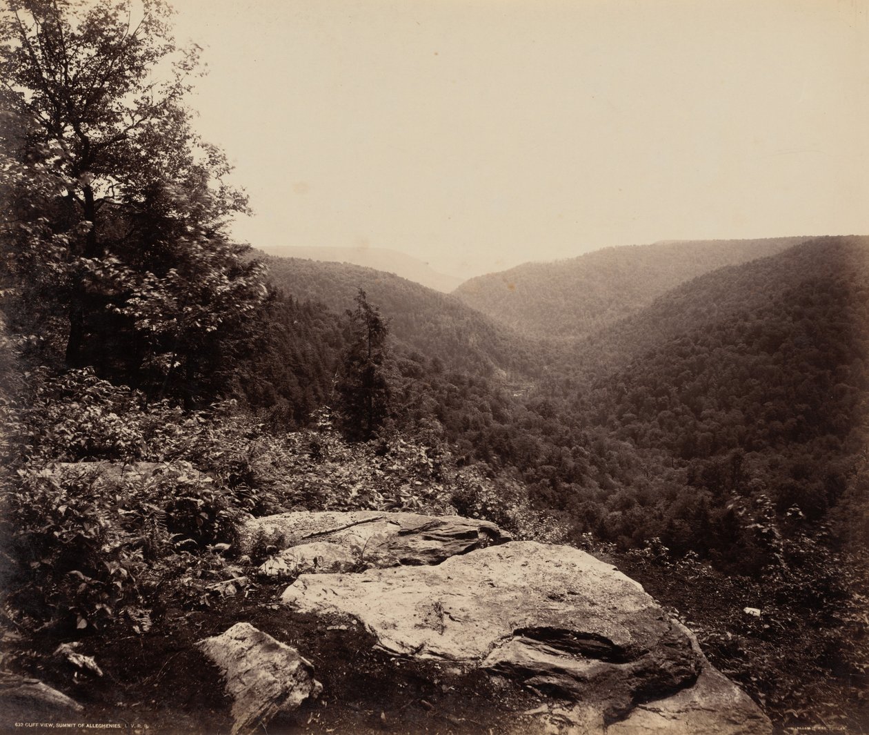 Klippenblick, Gipfel der Alleghenies, ca. 1895 von William Herman Rau