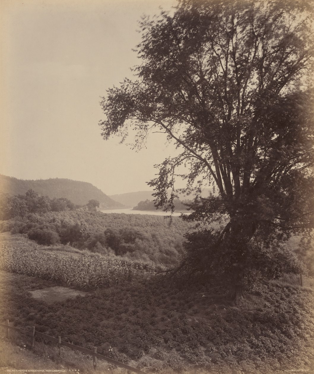 Malerische Susquehanna, nahe Laceyville, um 1895 von William Herman Rau