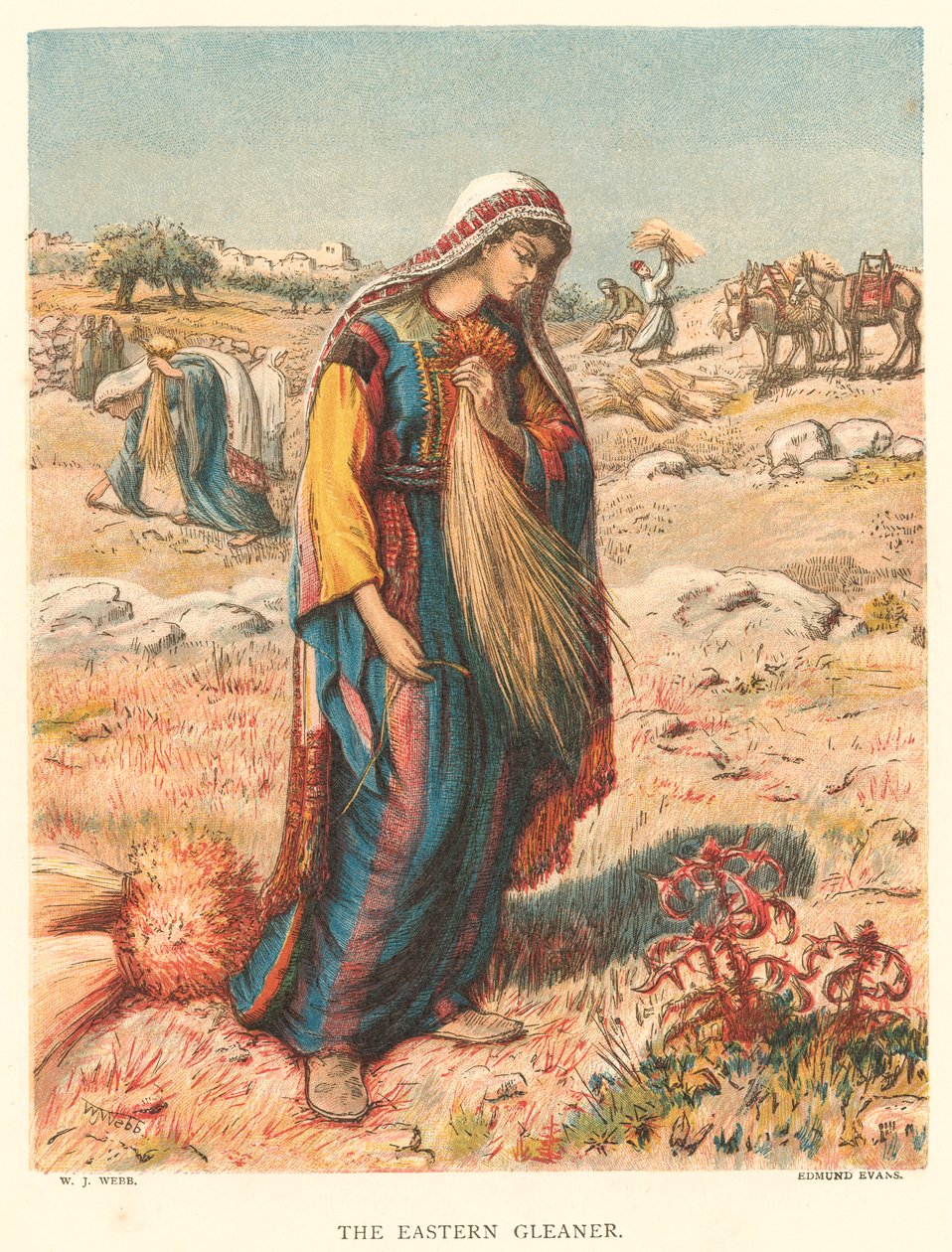 Der östliche Sammler von William J. Webbe or Webb