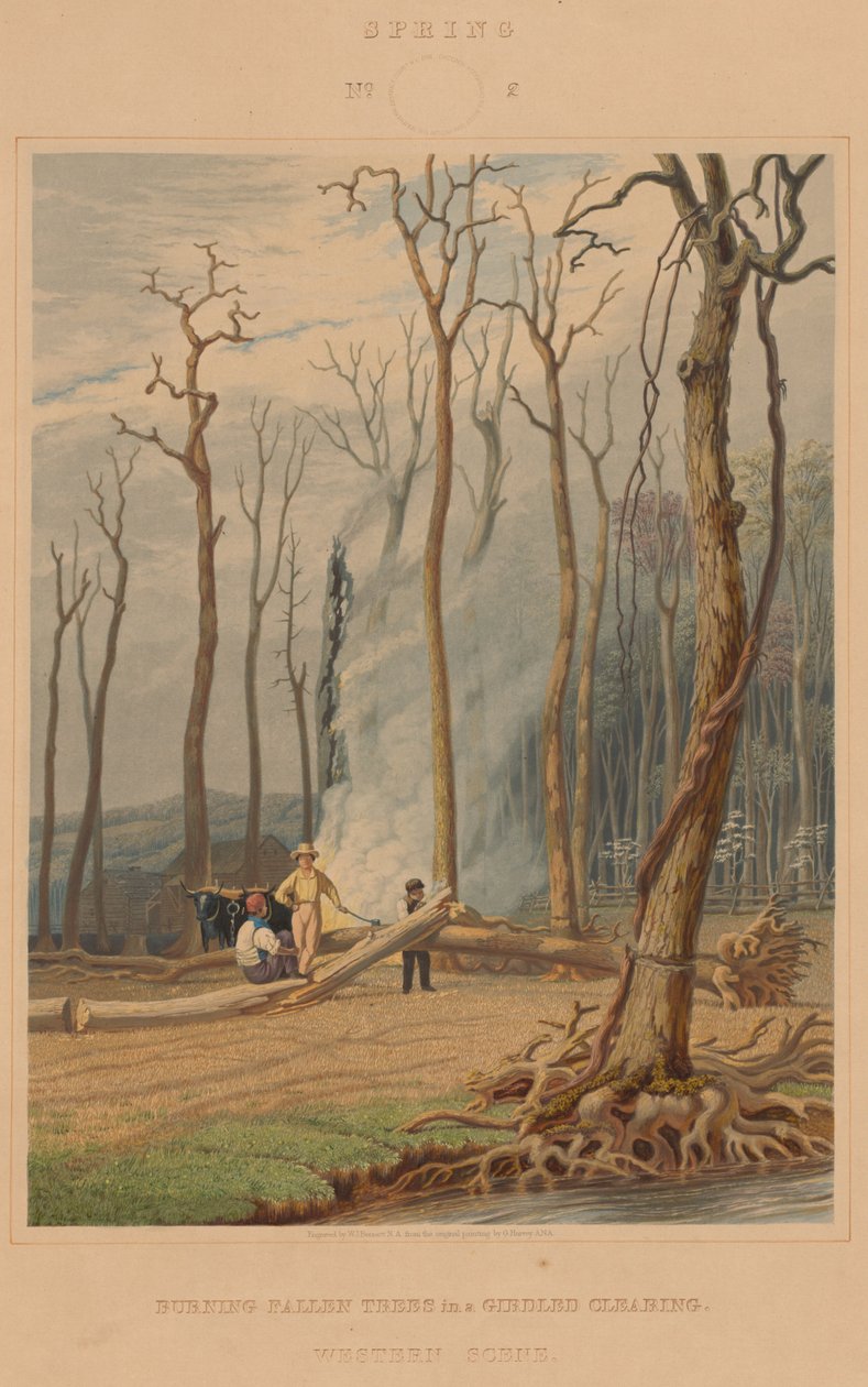 Frühling--Brennende gefällte Bäume in einer gerodeten Lichtung. Westliche Szene von William James Bennett after George Harvey
