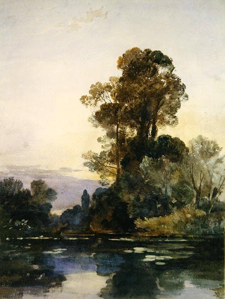 Hohe Bäume an einem See von William James Muller