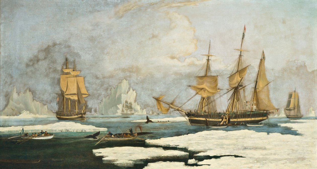 Die Nordwalfischerei: Das Schiff Harmony of Hull und andere im Eis gefangene Walfänger, die Robben, Narwale und Wale auf dem Davis-Straßen-Walfanggebiet vor Grönland jagen von William John Huggins
