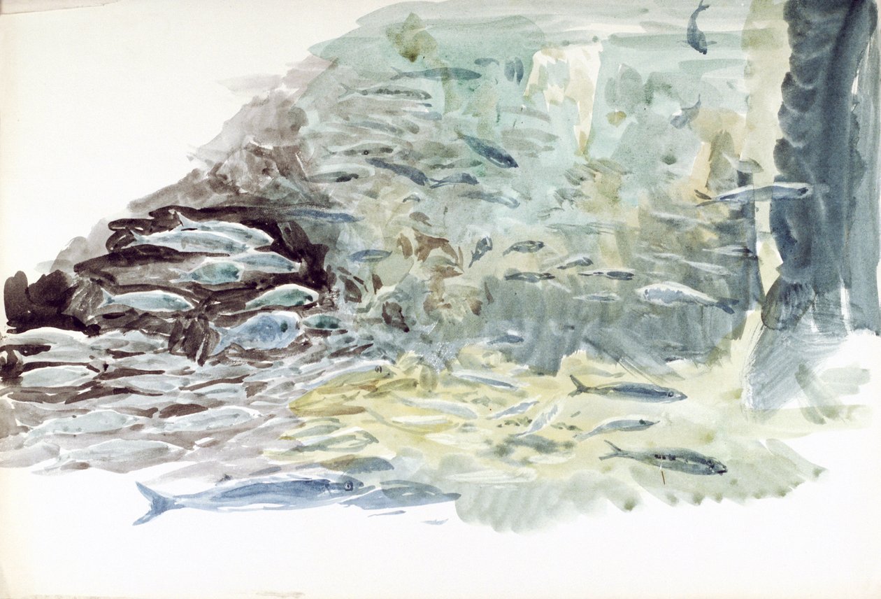 Unterwasseransicht eines Fischschwarms von William Lionel Wyllie