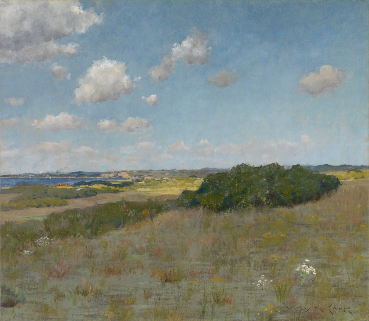 Sonnenlicht und Schatten, Shinnecock Hills, ca. 1895 von William Merritt Chase
