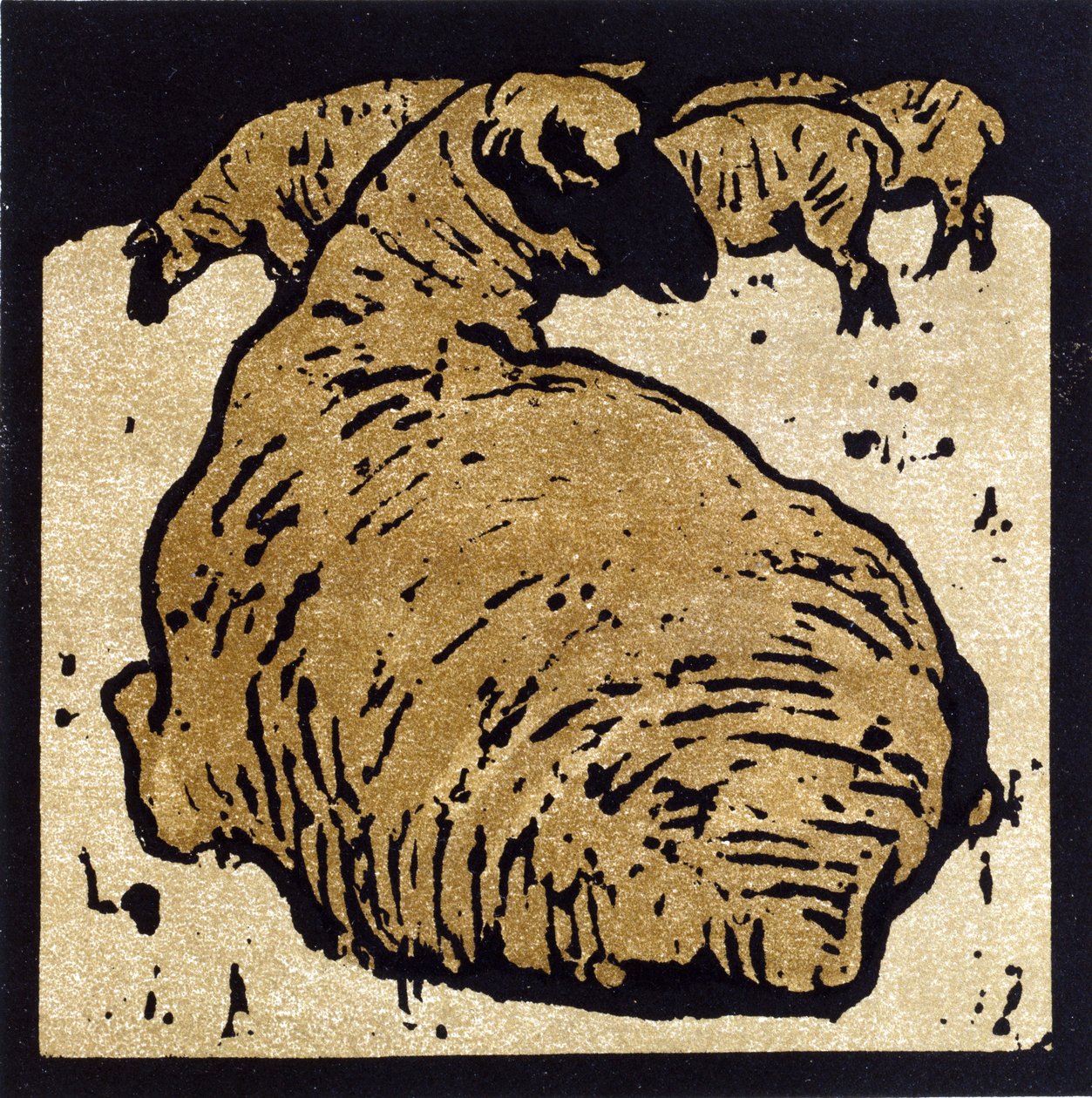 Das einfache Schaf, Illustration aus 