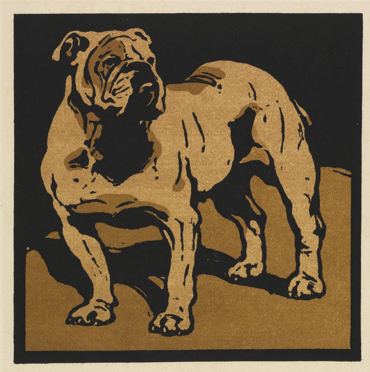 Das quadratische Buch der Tiere: Der britische Bulldogge von William Nicholson