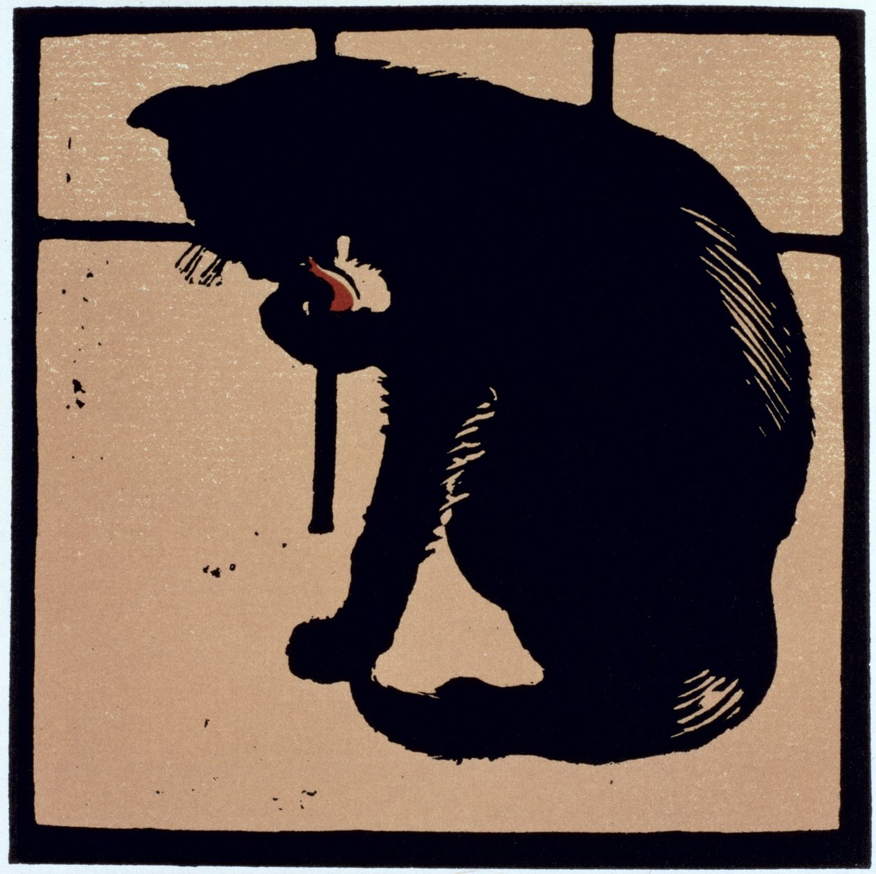Die ungewöhnliche Katze, aus 