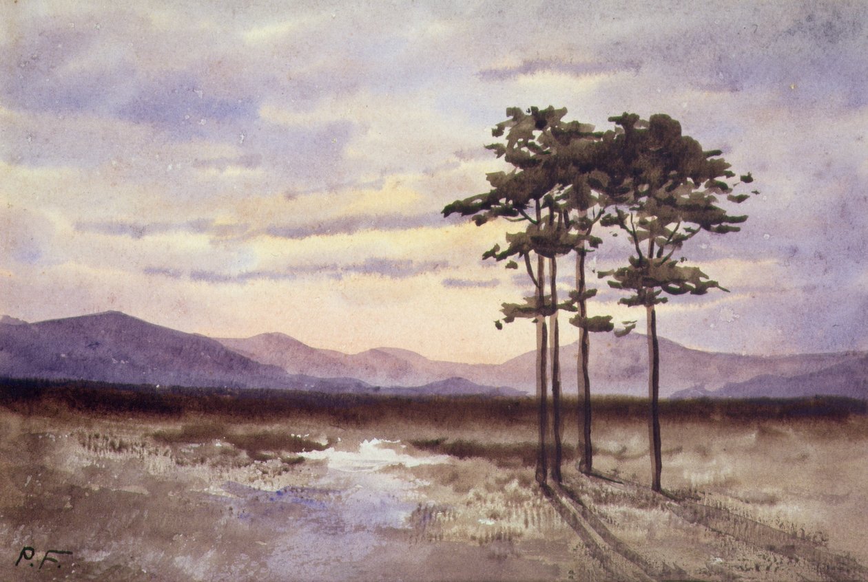 Sonnenuntergang, County Sligo von William Percy French