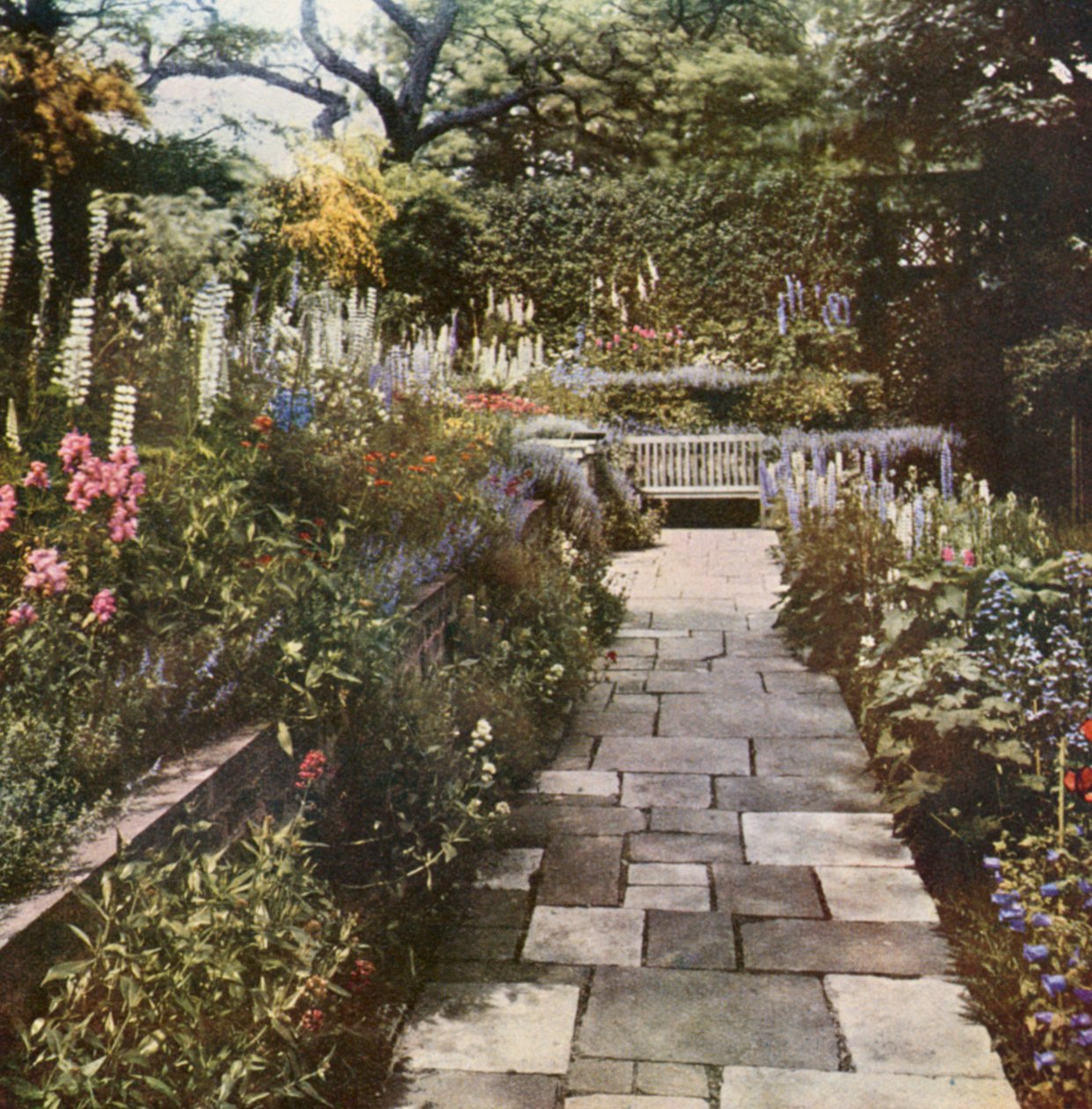 Staudenrabatten in einem Garten in St John