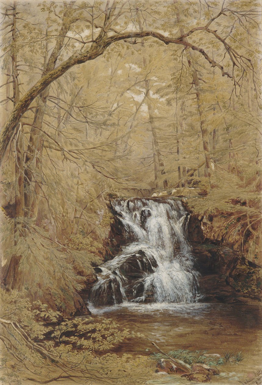 Indian Falls, Indian Brook, Cold Springs, New York, 1850 von William Rickarby Miller