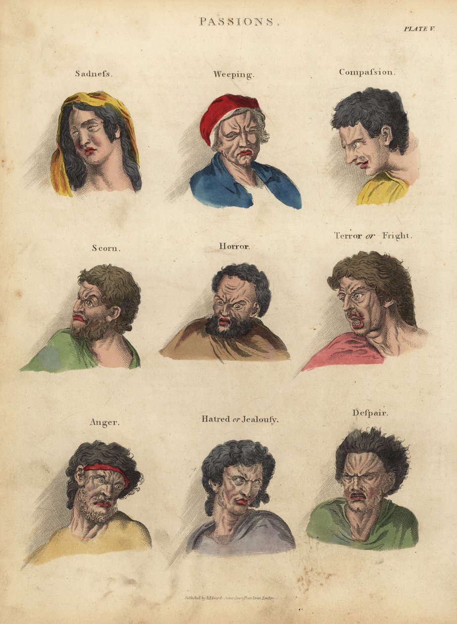 Leidenschaften aus der Physiognomie von William Smellie